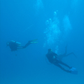DSC00721