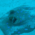 DSC00748