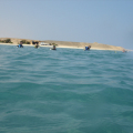 DSC00754