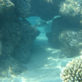 DSC00756