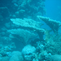DSC00765