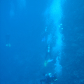 DSC00811