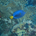 DSC00823