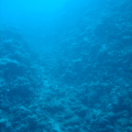 DSC00855