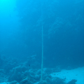 DSC00859