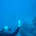 DSC00899