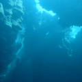 DSC00956