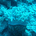 DSC01097