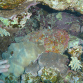 DSC01122