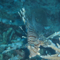 DSC01144