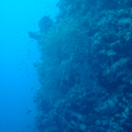 DSC01147