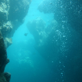 DSC01205