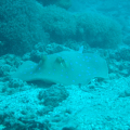 DSC01215