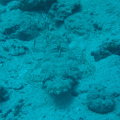 DSC01227