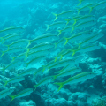 DSC01300
