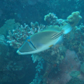 DSC01543