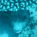 DSC01602