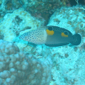 DSC01613