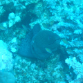DSC01626