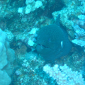 DSC01628