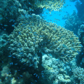 DSC01632