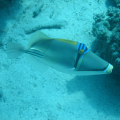 DSC01637
