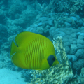 DSC01659