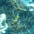 DSC01666