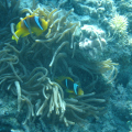 DSC01670