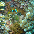 DSC02755