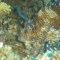 DSC02773