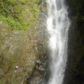 DSC02856