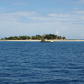 DSC02994