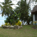 DSC03058