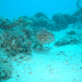 DSC03073