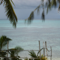 DSC03196