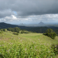 DSC03293