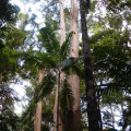 DSC03313