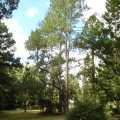 DSC03331
