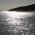 DSC03367