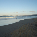 DSC03374
