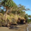 DSC03387