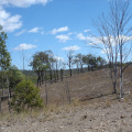DSC03413