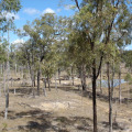 DSC03415