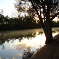 DSC03438
