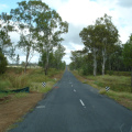 DSC03454