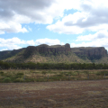 DSC03485
