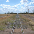 DSC03491