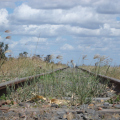 DSC03494