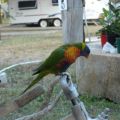 DSC03537